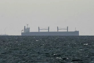 PHOTO: Cargo ship near Strait of Hormuz