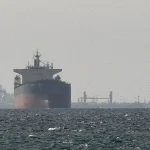FILE PHOTO: Ships near Strait of Hormuz